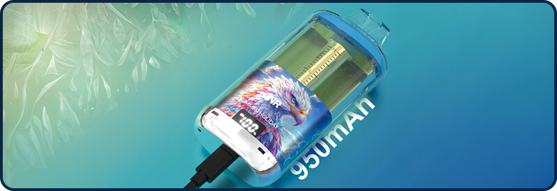 La batterie de 950mAh intégrée  la Falcon GEM+