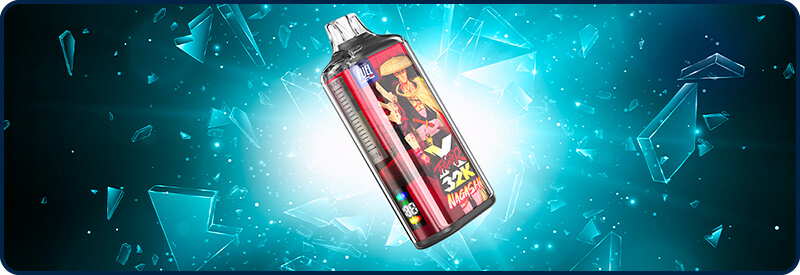 L'écran situé sur le cté du Fighter X